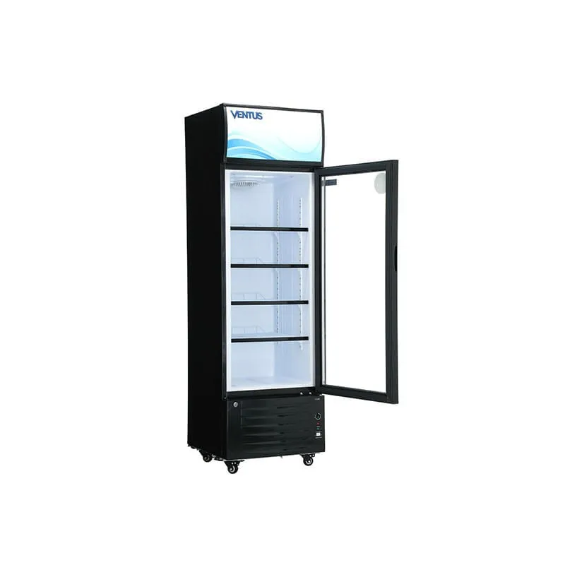 Visicooler 250 lt. lg-250